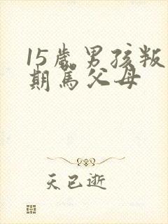 15岁男孩叛逆期骂父母