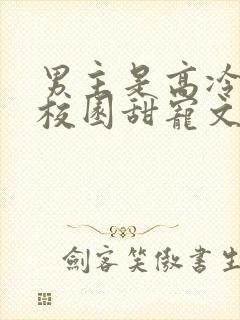 男主是高冷校草校园甜宠文