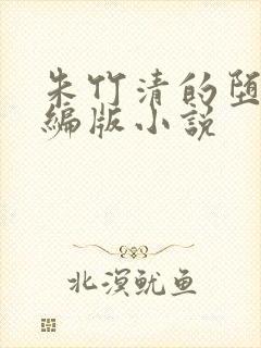 朱竹清的堕落改编版小说