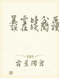 暴雪时分原著小说在线阅读