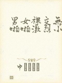 男女裸交无遮挡啪啪激烈小说封面