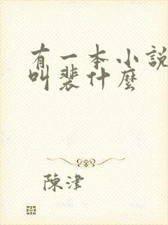 有一本小说男主叫裴什么