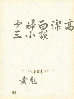 少妇白洁高义陈三小说