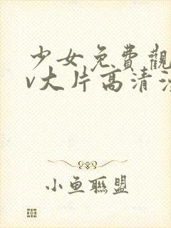 少女免费观看mv大片高清漫画在线观看