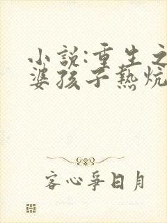 小说:重生之老婆孩子热炕头