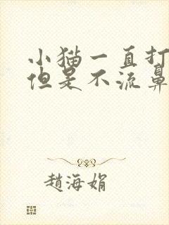 小猫一直打喷嚏但是不流鼻涕封面