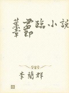 叶君临小说最新章节