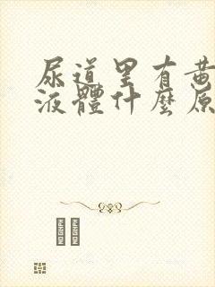 尿道里有黄色的液体什么原因