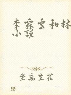 李霖云和林婉的小说封面