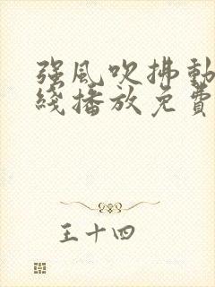 强风吹拂动漫在线播放免费观看全集