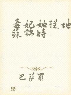 毒妃她从地狱来苏锦时