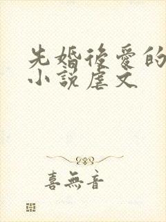 先婚后爱的古言小说虐文