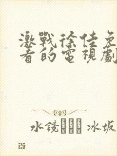 激战徐佳免费观看的电视剧