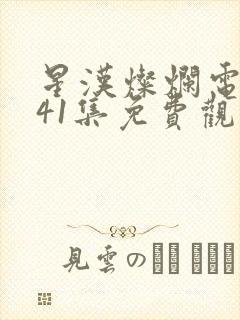 星汉灿烂电视剧41集免费观看