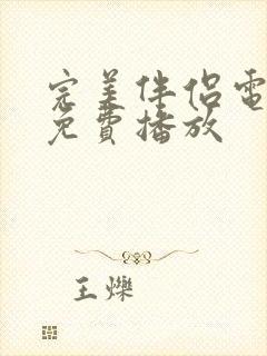 完美伴侣电视剧免费播放