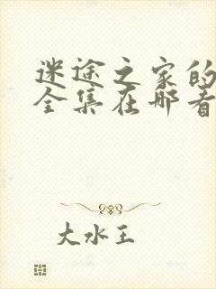 迷途之家的姐姐全集在哪看