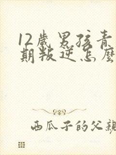 12岁男孩青春期叛逆怎么办封面