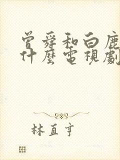 曾舜和白鹿演的什么电视剧封面