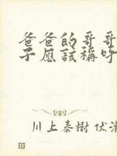 爸爸的哥哥的儿子应该称呼什么