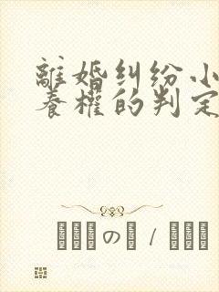 离婚纠纷小孩抚养权的判定