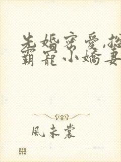 先婚密爱,总裁霸宠小娇妻 吉祥夜