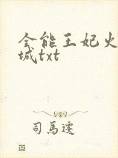 全能王妃火爆京城txt封面