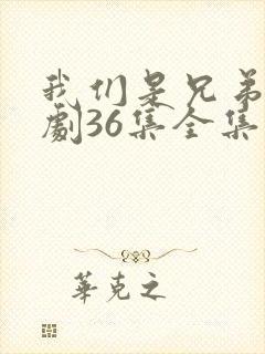 我们是兄弟电视剧36集全集播放