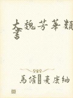 大魏芳华类似的书