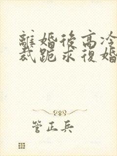 离婚后高冷女总裁跪求复婚