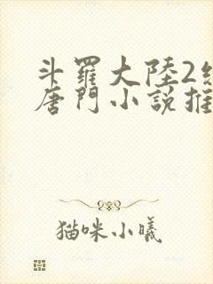 斗罗大陆2绝世唐门小说推荐