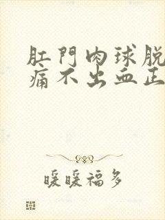 肛门肉球脱出疼痛不出血正常吗