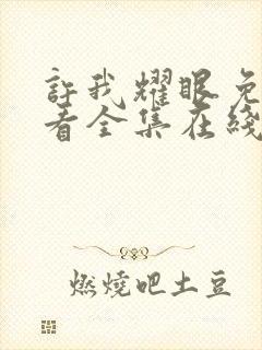 许我耀眼免费观看全集在线播放