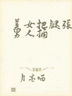 美女把腿张开让男人捅封面