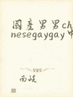 国产男男chinesegaygay中国帅哥网站