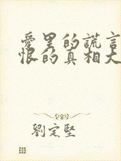 爱里的谎言,仇恨的真相大结局