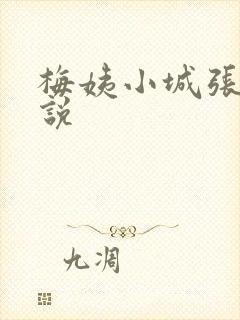 梅姨小城张强小说