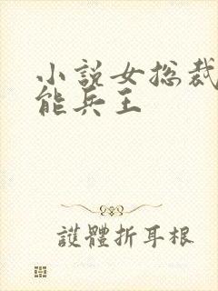 小说女总裁的全能兵王封面