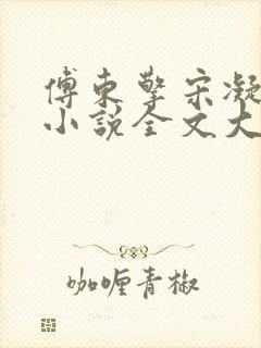 傅东擎宋凝林阑小说全文大结局