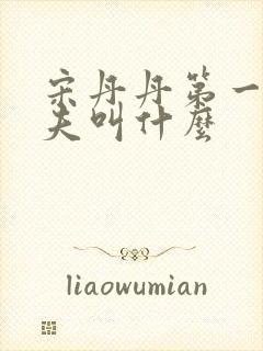 宋丹丹第一任丈夫叫什么