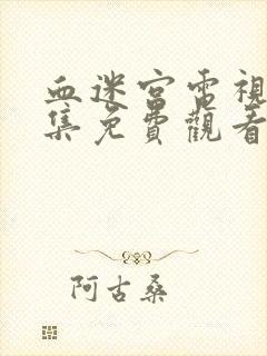 血迷宫电视剧全集免费观看国语版封面