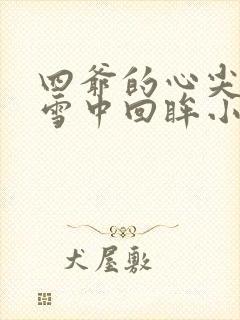 四爷的心尖宠妃雪中回眸小说的免费阅读