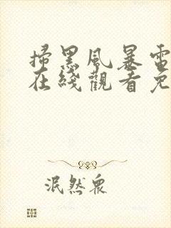 扫黑风暴电视剧在线观看免费25集