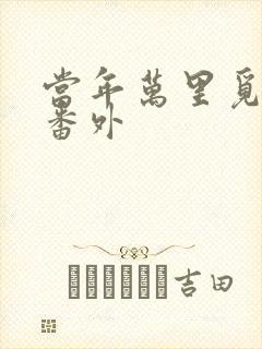 当年万里觅封侯番外