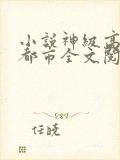 小说神级高手在都市全文阅读