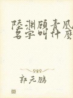 陆渊顾青凰小说名字叫什么