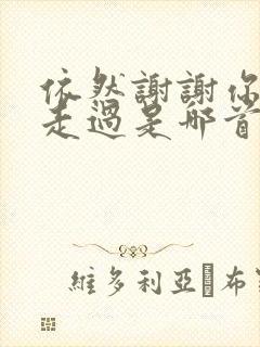 依然谢谢你陪我走过是哪首歌的歌词