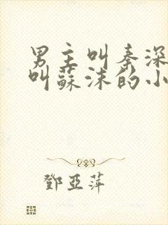 男主叫秦深女主叫苏沫的小说