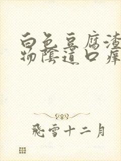 白色豆腐渣分泌物阴道口痒