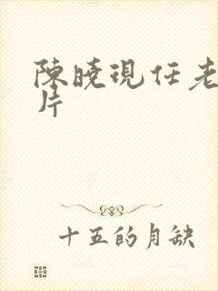 陈晓现任老婆照片