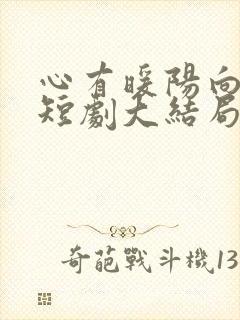 心有暖阳向云霄短剧大结局